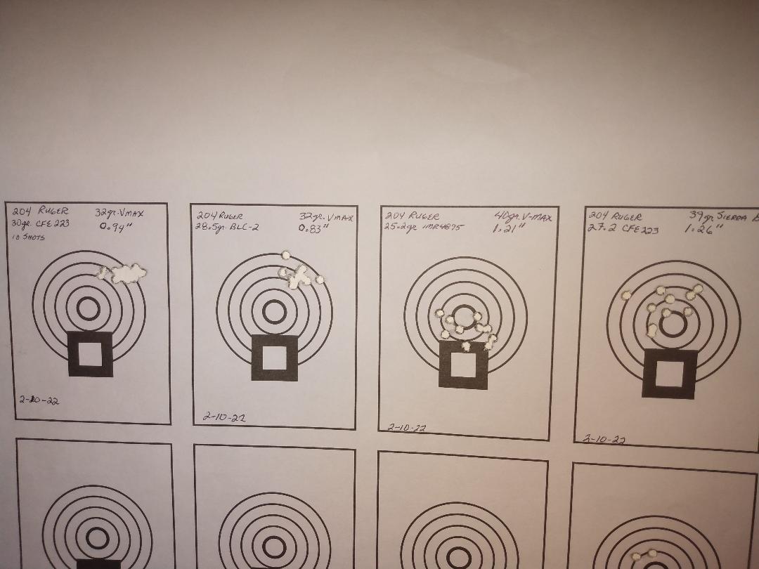 204 Ruger Target.jpg