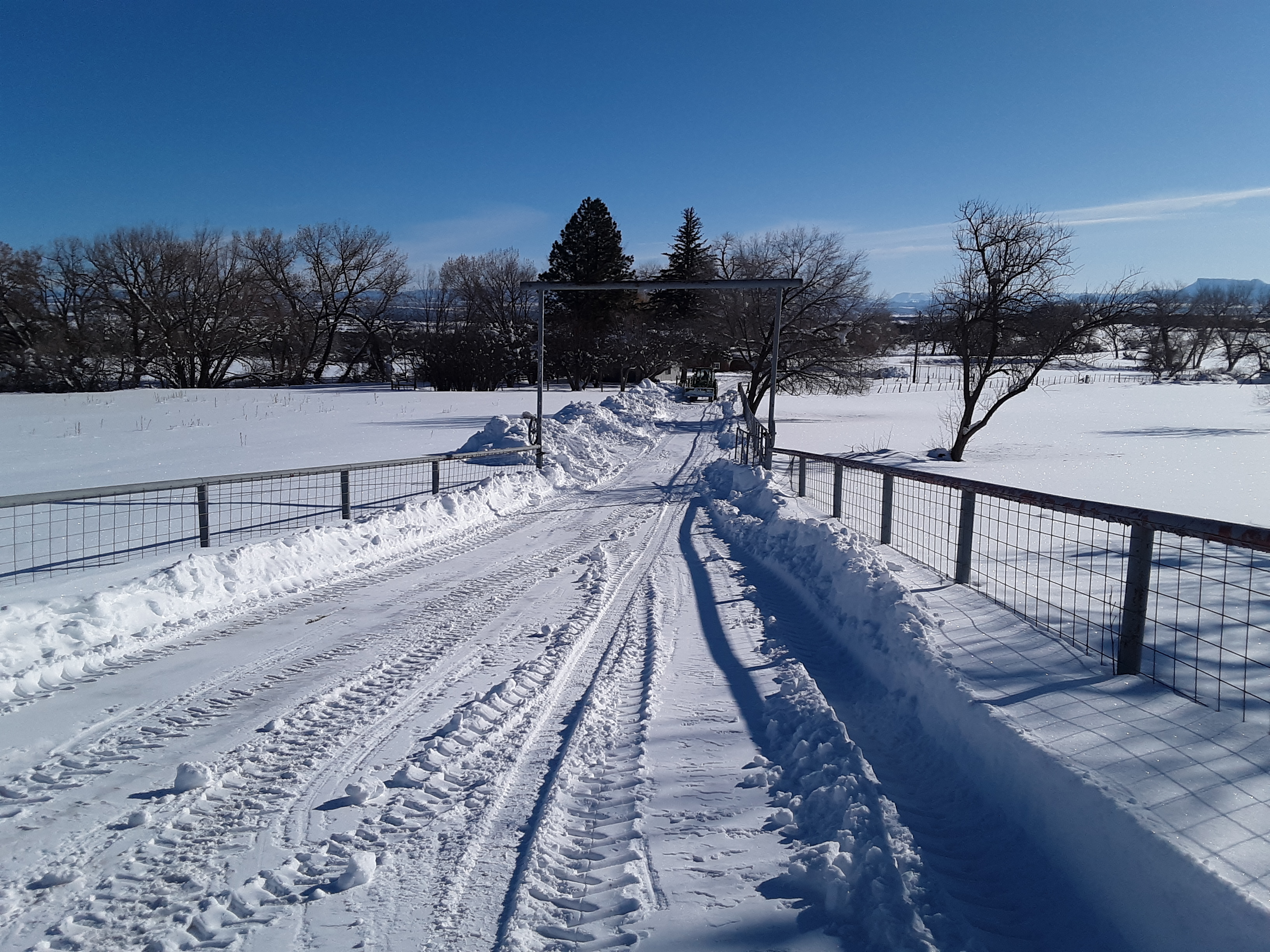 20230121_094948.jpg