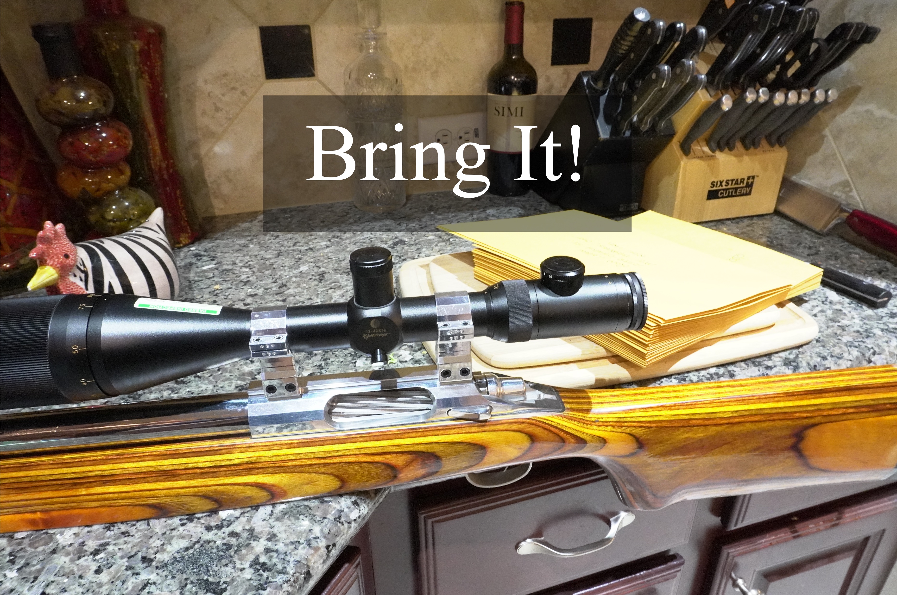 Custom 204 Ruger.jpg