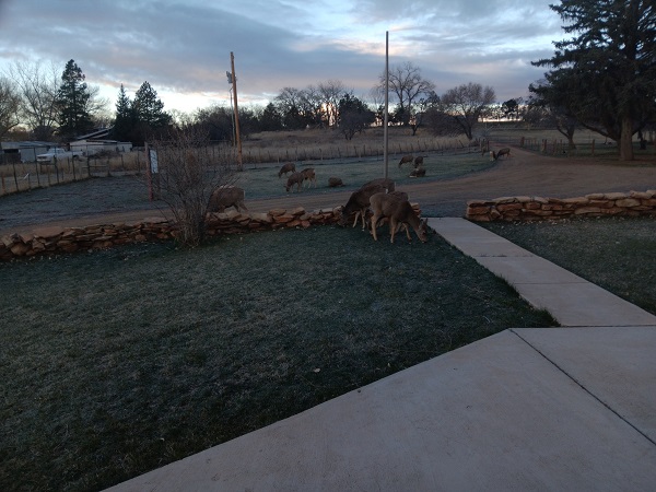 20240326_073409.jpg