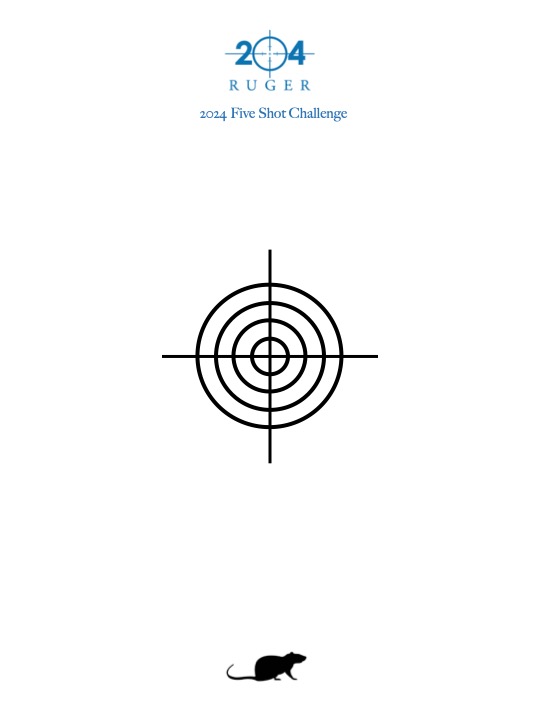 2024 Small Bore Comp Target.jpg