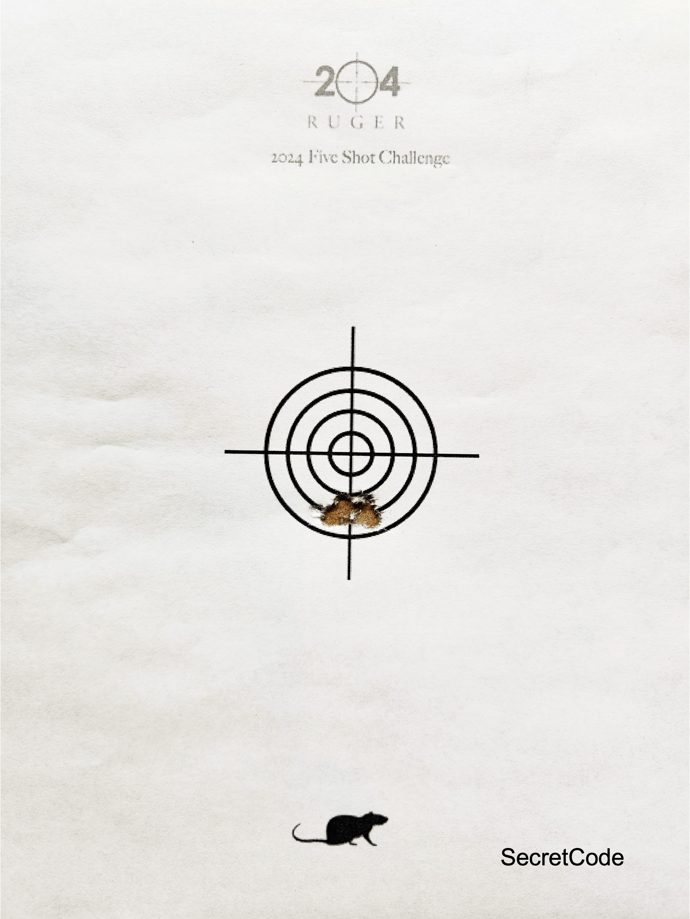 SecretCode Target.jpg
