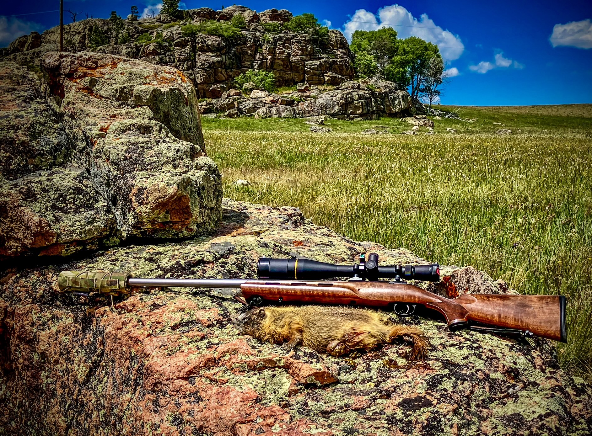 204 Ruger - Big Horn Mtns.jpg