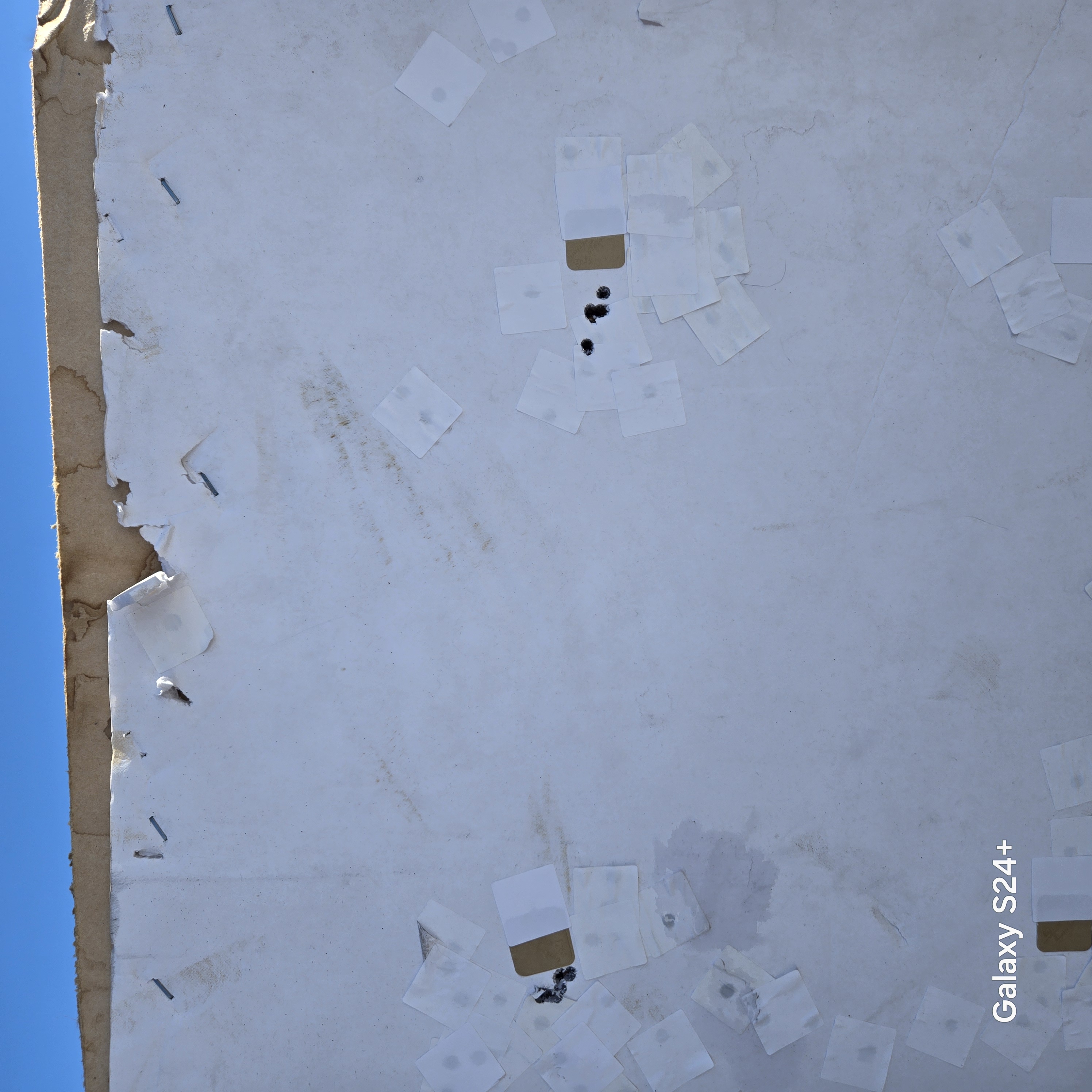 20250223_120913.jpg
