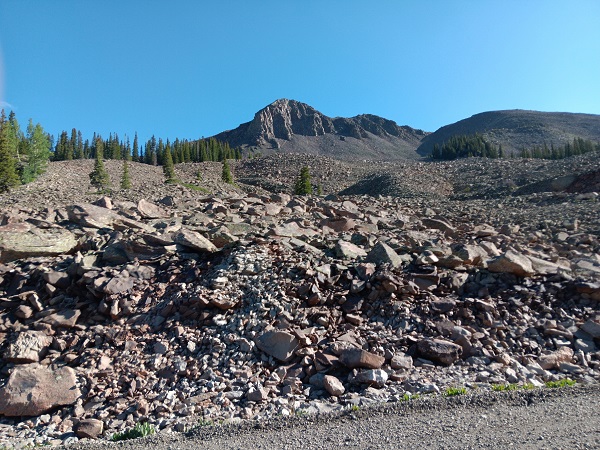 20240829_092450.jpg