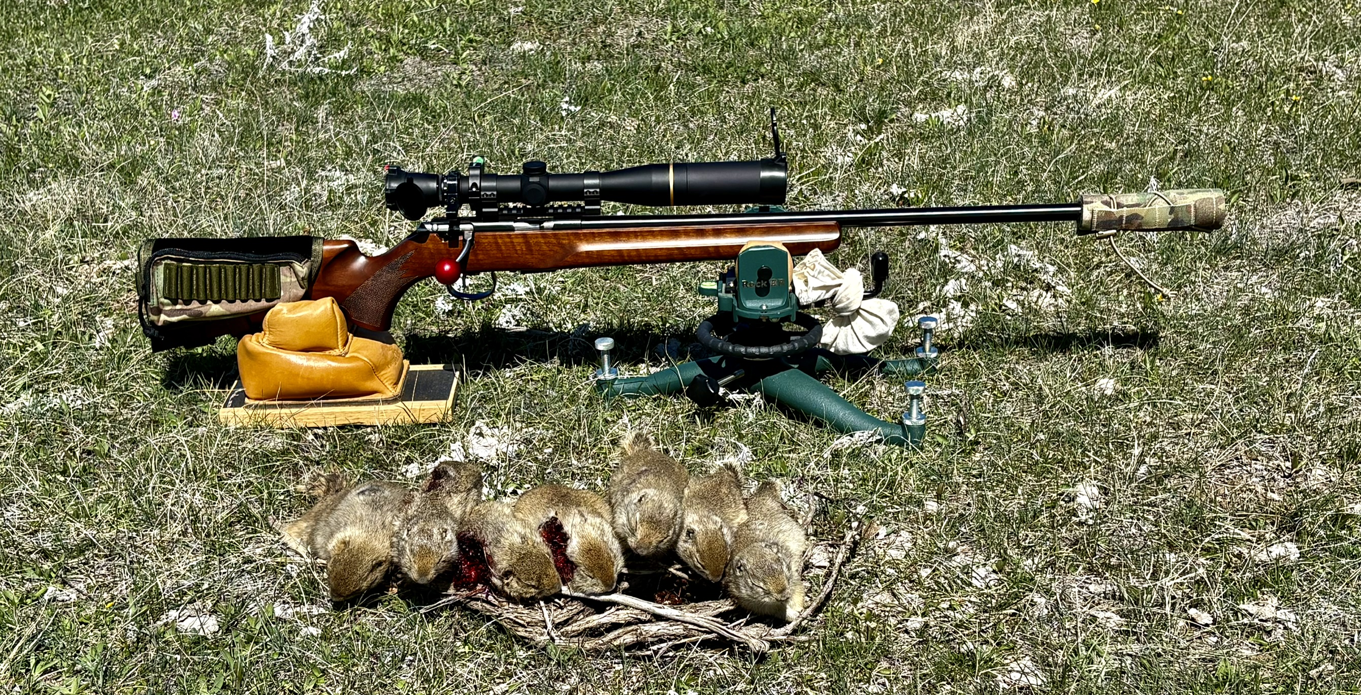 Anschutz 17HMR - RGS.jpeg