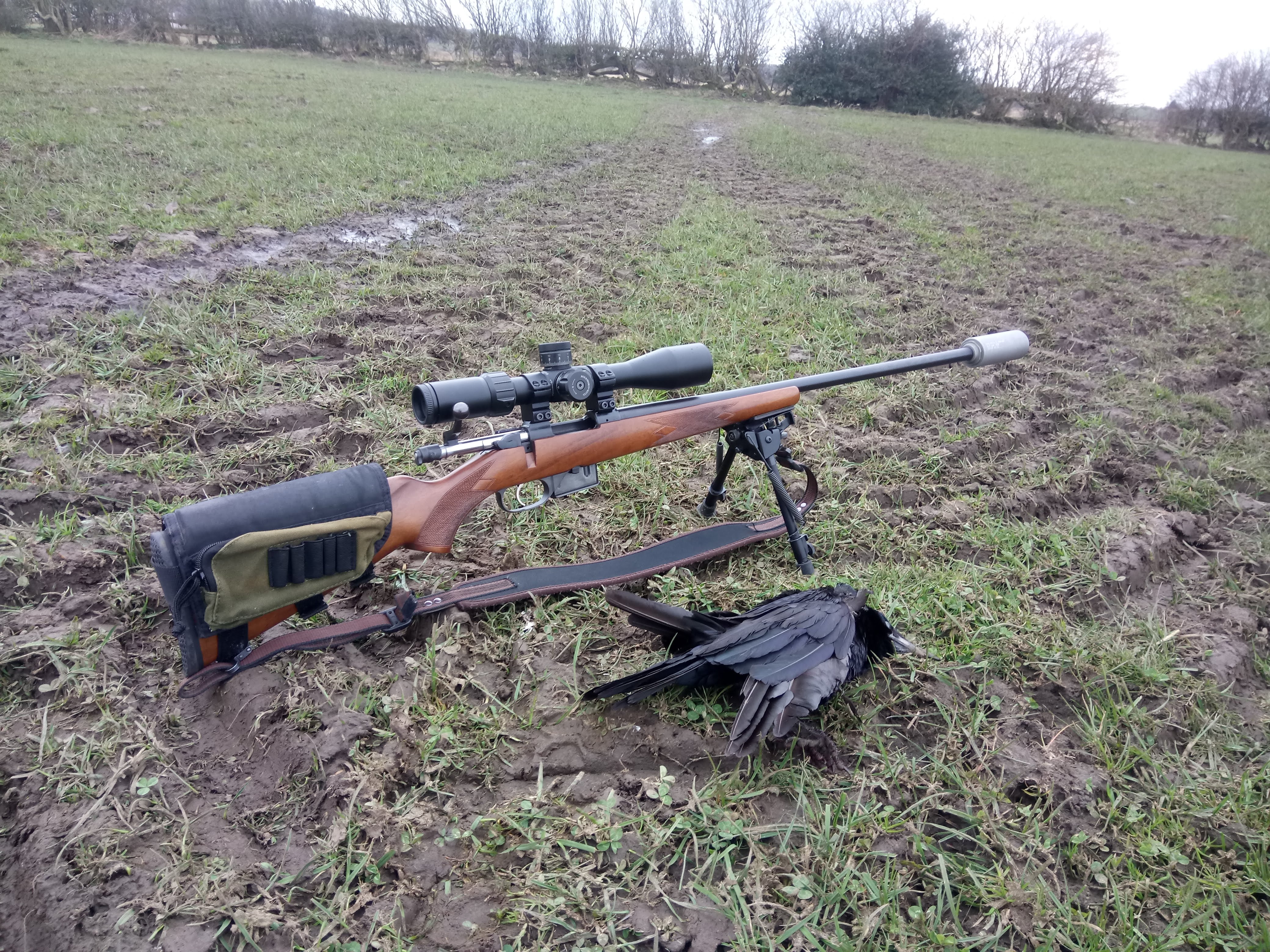 490 Yard Crow