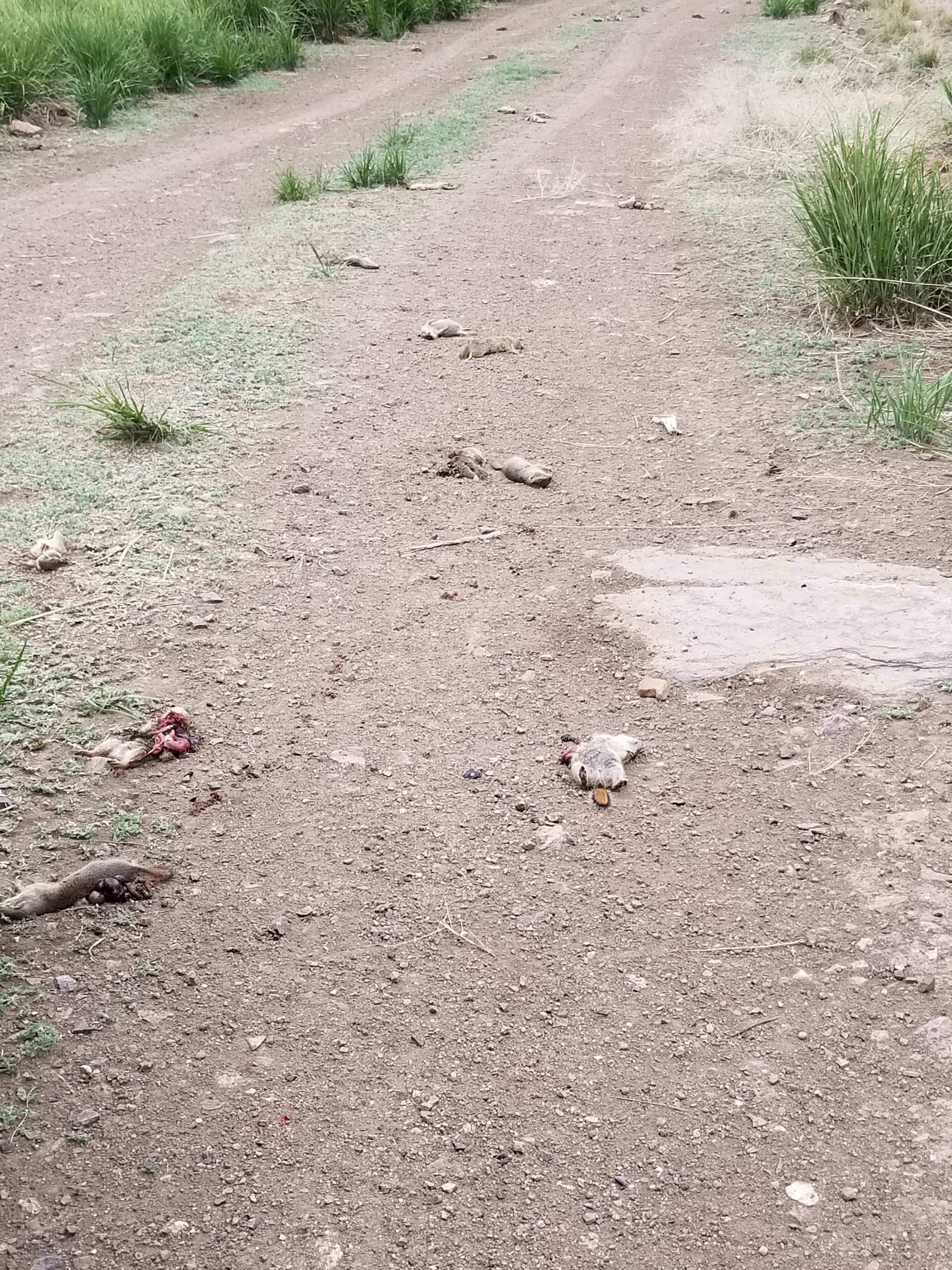 20180516_143521.jpg