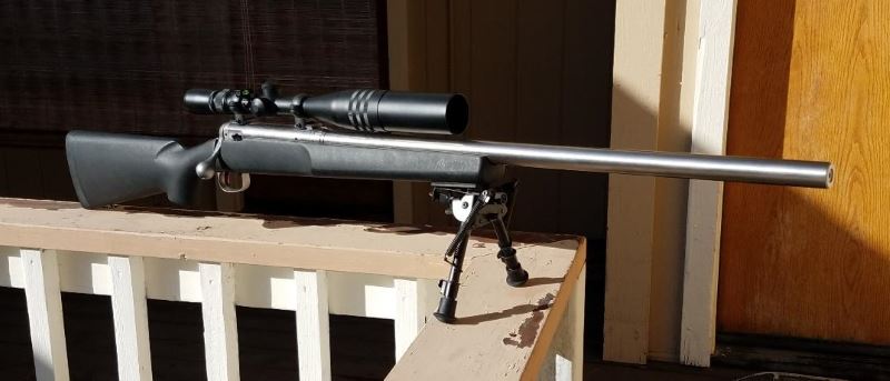 Ruger_204-2.jpg