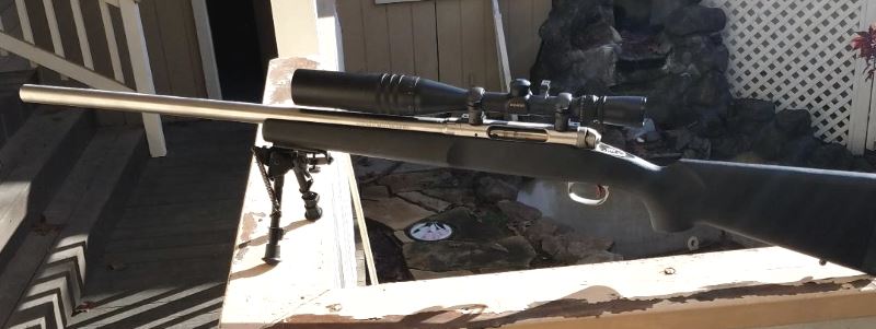 Ruger_204-1.jpg