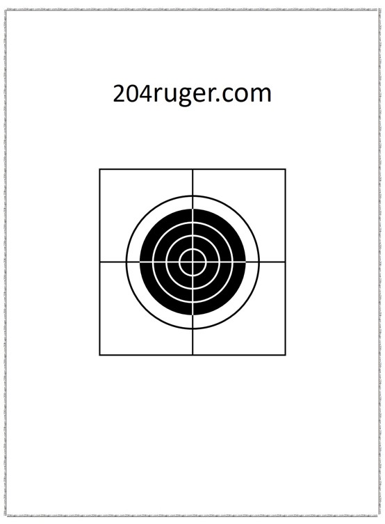 204 Ruger Target.jpeg